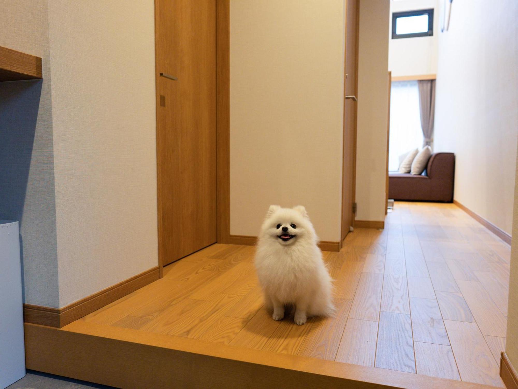 Rakuten Stay Villa Yatsugatake Hokuto  Exterior foto